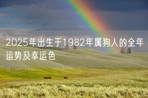2025年出生于1982年属狗人的全年运势及幸运色(图1)