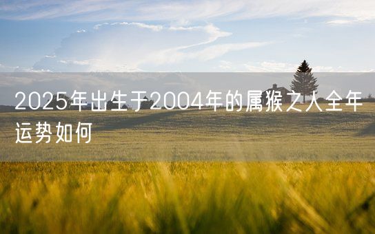 2025年出生于2004年的属猴之人全年运势如何(图1)