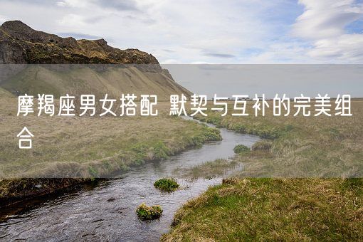 摩羯座男女搭配 默契与互补的完美组合(图1)