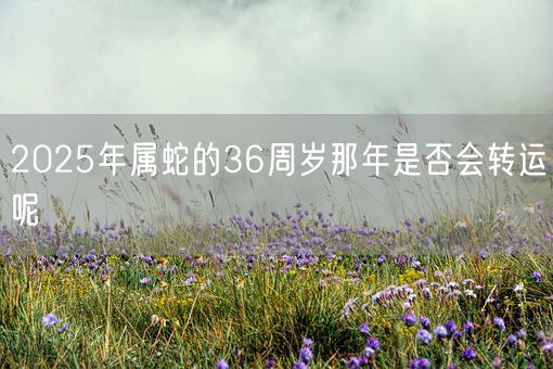 2025年属蛇的36周岁那年是否会转运呢(图1)