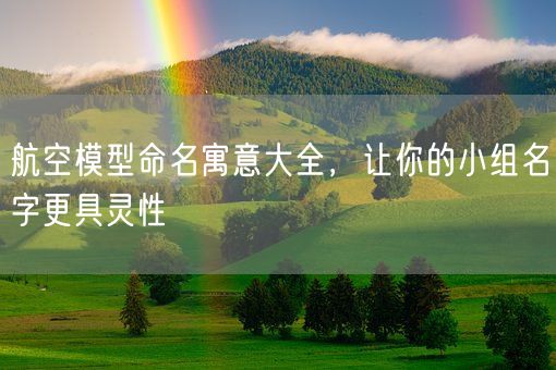 航空模型命名寓意大全，让你的小组名字更具灵性(图1)