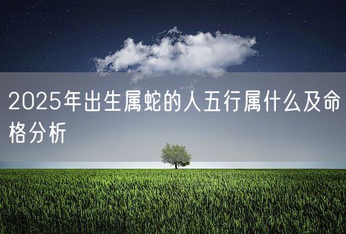 2025年出生属蛇的人五行属什么及命格分析(图1) 2025年出生属蛇的人五行属什么及命格分析(图1)