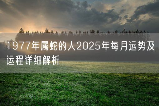 1977年属蛇的人2025年每月运势及运程详细解析(图1)