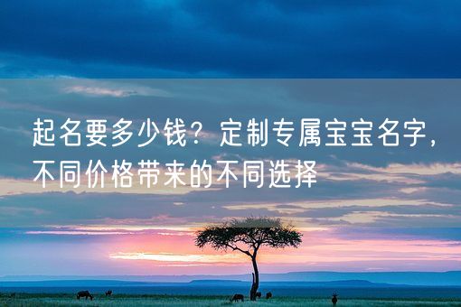 起名要多少钱？定制专属宝宝名字，不同价格带来的不同选择(图1)