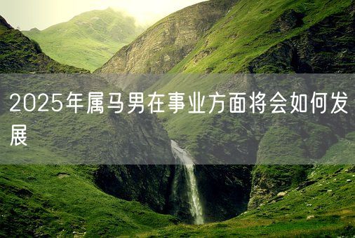 2025年属马男在事业方面将会如何发展(图1) 2025年属马男在事业方面将会如何发展(图1)