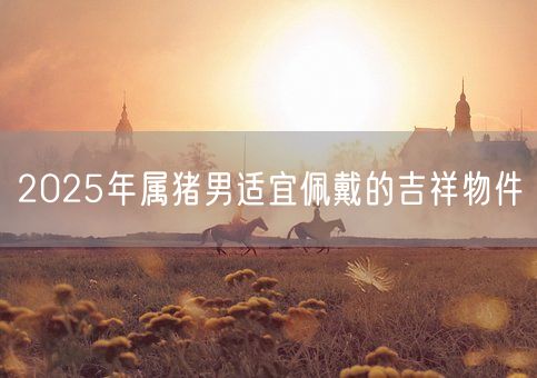 2025年属猪男适宜佩戴的吉祥物件(图1) 2025年属猪男适宜佩戴的吉祥物件(图1)