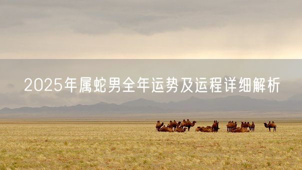 2025年属蛇男全年运势及运程详细解析(图1)