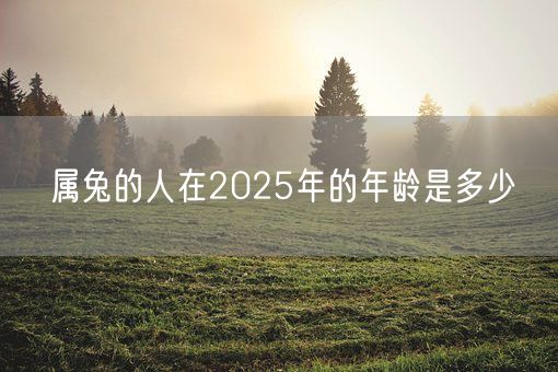 属兔的人在2025年的年龄是多少(图1)