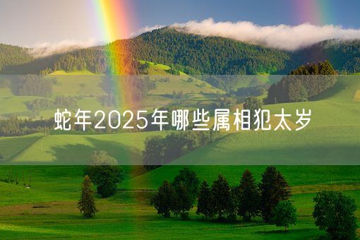 蛇年2025年哪些属相犯太岁(图1)