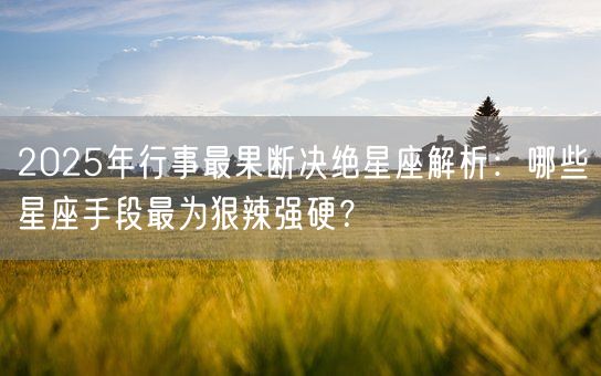 2025年行事最果断决绝星座解析：哪些星座手段最为狠辣强硬？(图1)