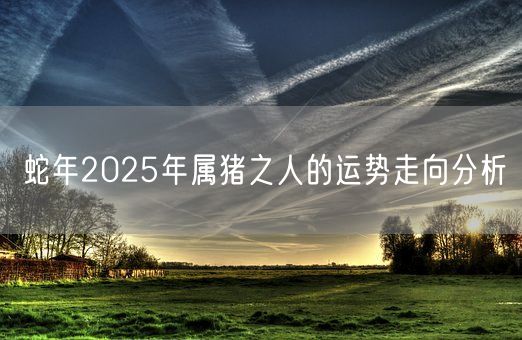 蛇年2025年属猪之人的运势走向分析(图1) 蛇年2025年属猪之人的运势走向分析(图1)