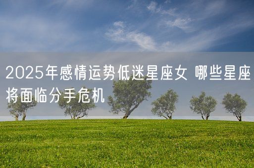 2025年感情运势低迷星座女 哪些星座将面临分手危机(图1)