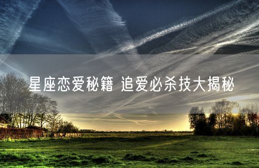 星座恋爱秘籍 追爱必杀技大揭秘(图1)