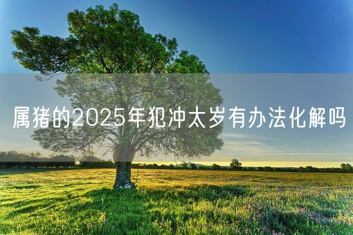 属猪的2025年犯冲太岁有办法化解吗(图1) 属猪的2025年犯冲太岁有办法化解吗(图1)