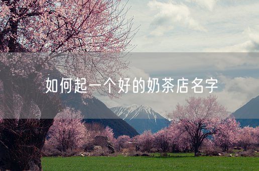 如何起一个好的奶茶店名字(图1) 如何起一个好的奶茶店名字(图1)