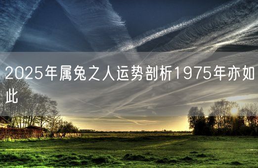 2025年属兔之人运势剖析1975年亦如此(图1)