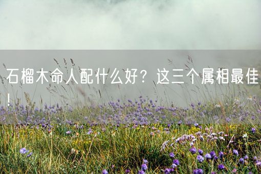 石榴木命人配什么好?这三个属相最佳!(图1) 石榴木命人配什么好?这三个属相最佳!(图1)