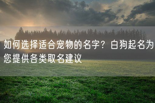 如何选择适合宠物的名字?白狗起名为您提供各类取名建议(图1) 如何选择适合宠物的名字?白狗起名为您提供各类取名建议(图1)