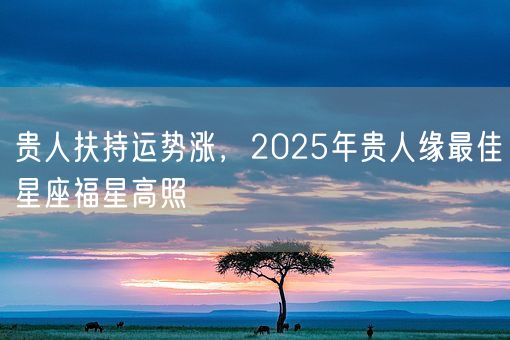贵人扶持运势涨，2025年贵人缘最佳星座福星高照(图1)
