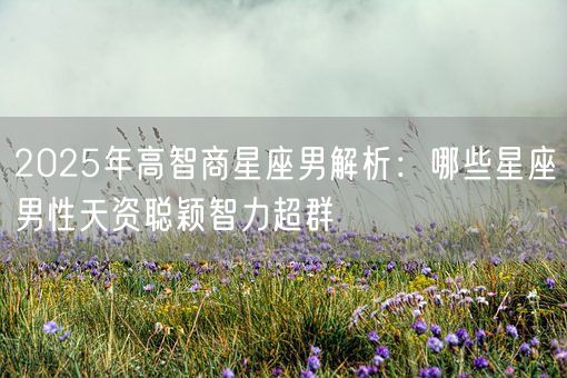 2025年高智商星座男解析：哪些星座男性天资聪颖智力超群(图1)