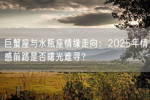 巨蟹座与水瓶座情缘走向:2025年情感前路是否曙光难寻?(图1) 巨蟹座与水瓶座情缘走向:2025年情感前路是否曙光难寻?(图1)