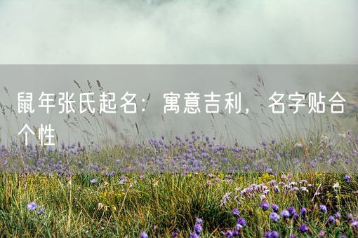 鼠年张氏起名:寓意吉利,名字贴合个性(图1) 鼠年张氏起名:寓意吉利,名字贴合个性(图1)