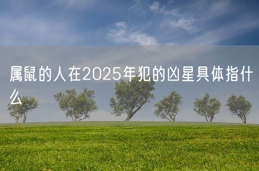 属鼠的人在2025年犯的凶星具体指什么(图1) 属鼠的人在2025年犯的凶星具体指什么(图1)