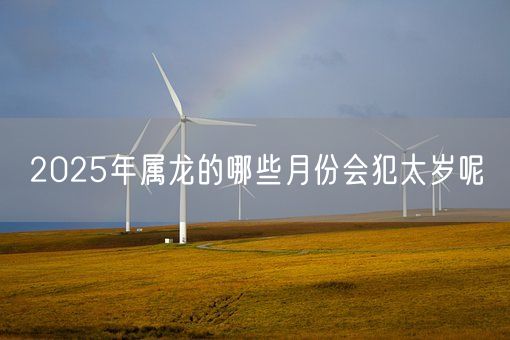 2025年属龙的哪些月份会犯太岁呢(图1) 2025年属龙的哪些月份会犯太岁呢(图1)