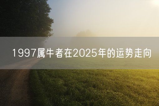 1997属牛者在2025年的运势走向(图1) 1997属牛者在2025年的运势走向(图1)