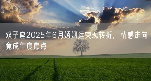 双子座2025年6月婚姻运突现转折,情感走向竟成年度焦点(图1) 双子座2025年6月婚姻运突现转折,情感走向竟成年度焦点(图1)