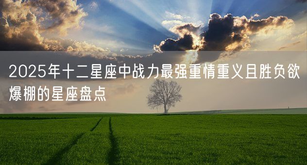 2025年十二星座中战力最强重情重义且胜负欲爆棚的星座盘点(图1) 2025年十二星座中战力最强重情重义且胜负欲爆棚的星座盘点(图1)