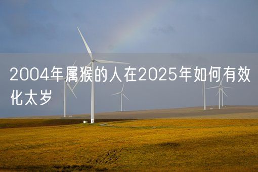2004年属猴的人在2025年如何有效化太岁(图1)