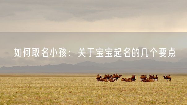 如何取名小孩：关于宝宝起名的几个要点(图1)