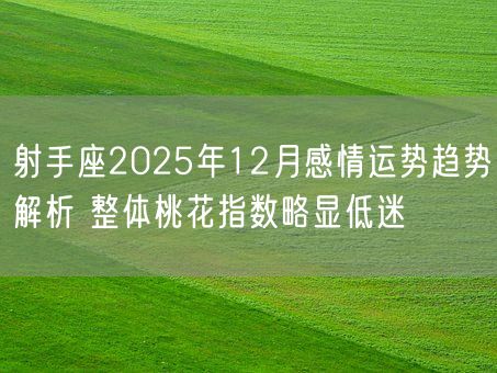 射手座2025年12月感情运势趋势解析 整体桃花指数略显低迷(图1)