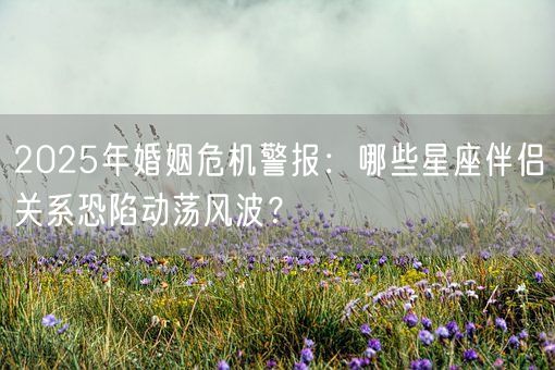 2025年婚姻危机警报：哪些星座伴侣关系恐陷动荡风波？(图1)