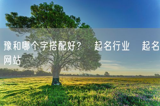 豫和哪个字搭配好？  起名行业   起名网站(图1)