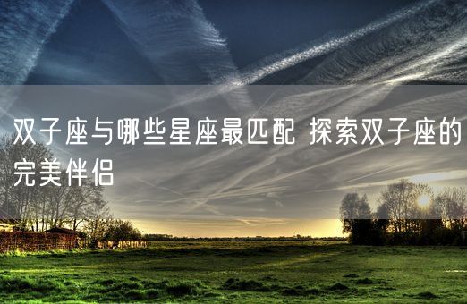 双子座与哪些星座最匹配 探索双子座的完美伴侣(图1)