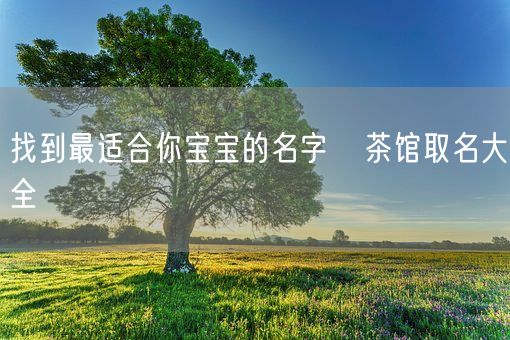 找到最适合你宝宝的名字   茶馆取名大全(图1)