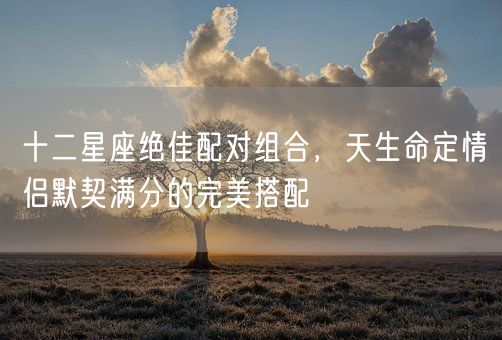 十二星座绝佳配对组合,天生命定情侣默契满分的完美搭配(图1) 十二星座绝佳配对组合,天生命定情侣默契满分的完美搭配(图1)
