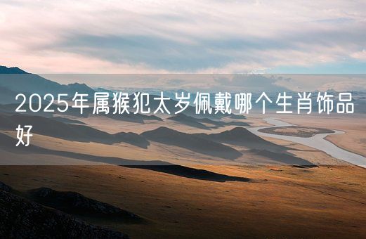 2025年属猴犯太岁佩戴哪个生肖饰品好(图1)