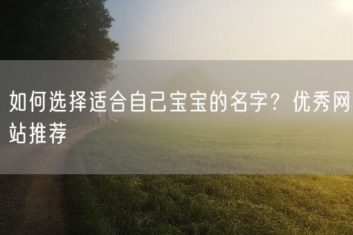 如何选择适合自己宝宝的名字?优秀网站推荐(图1) 如何选择适合自己宝宝的名字?优秀网站推荐(图1)