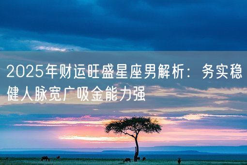 2025年财运旺盛星座男解析：务实稳健人脉宽广吸金能力强(图1)
