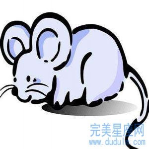 60年的鼠和72年的鼠两个人在一起相配吗