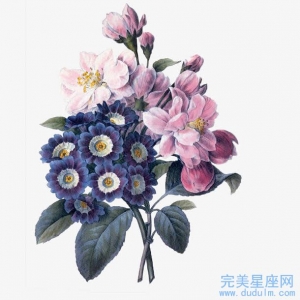 哪些生肖女是有商业头脑谈生意最厉害