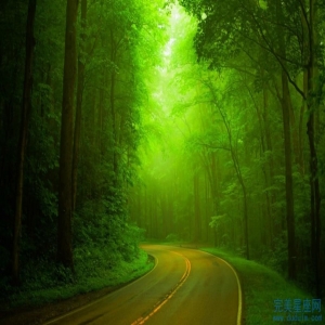 天生容貌出众对容貌非常重视的是哪些生肖女