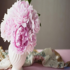 生肖属虎和猴的父母生什么属相的宝宝比较相合