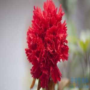 2013年属蛇的男孩是什么命 命运如何