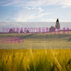 2004年射手座2023年运势及运程 逢考必过成绩喜人