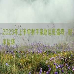 2023年上半年射手座财运旺盛吗  时来运转
