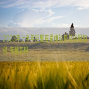 2023年上半年巨蟹座爱情运势及运程如何 有桃花吗